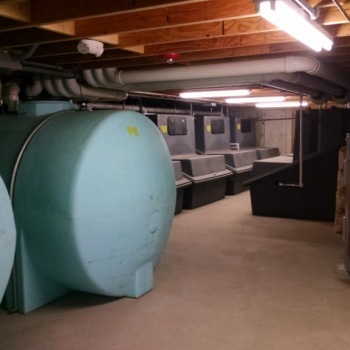 Crane-Beach-basement