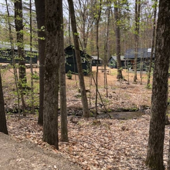 Junior cabins on stream