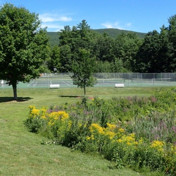 Tennis and basketball courts