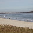 beach-walkers