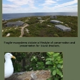 ecosystem-1